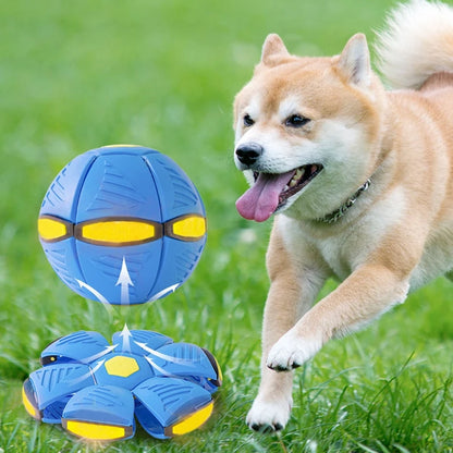 Flying Saucer Dog Toy